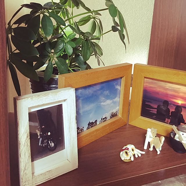 kakka_haruさんの実例写真