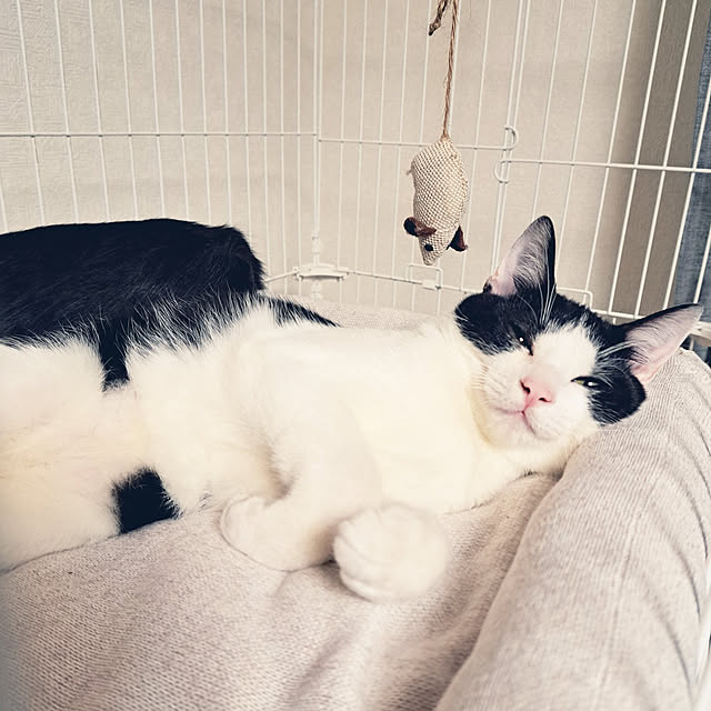 yunkさんの実例写真