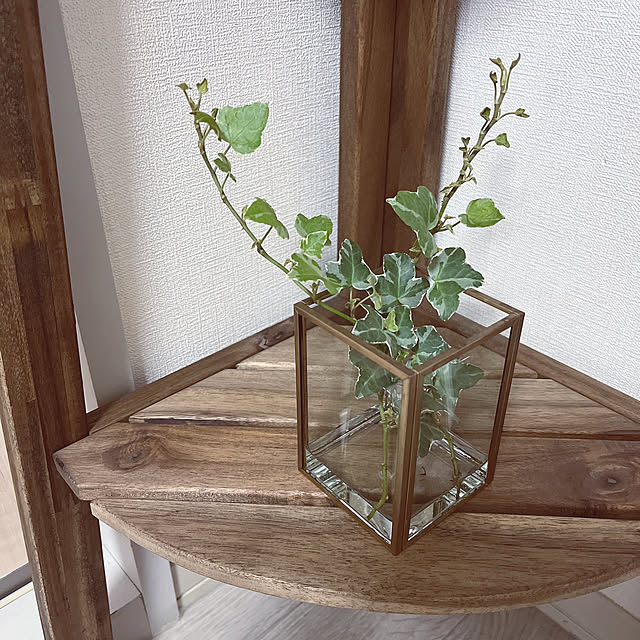 水耕栽培/花瓶/キッチンインテリア/ベランダガーデン/植物のある暮らし...などのインテリア実例 - 2022-08-04 10:15:04