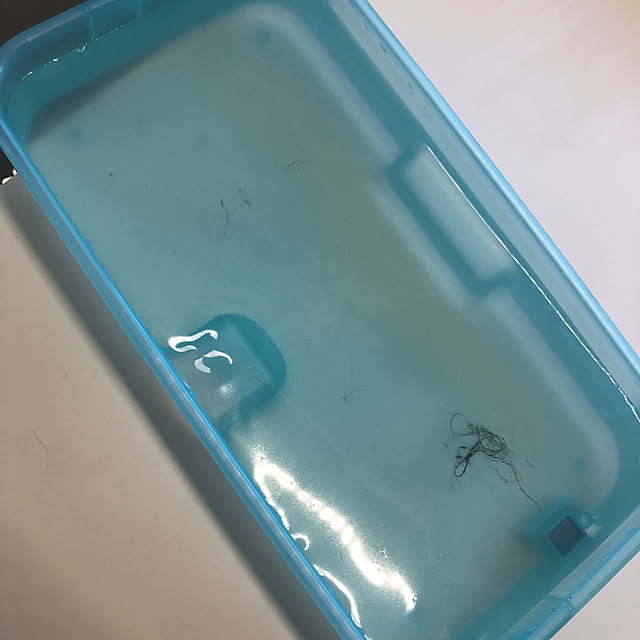 Fujikoさんの部屋