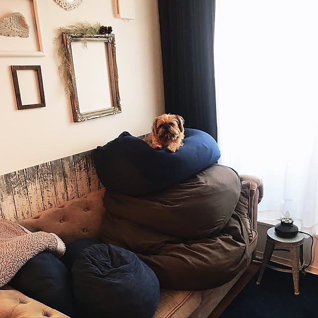 kozuさんの実例写真