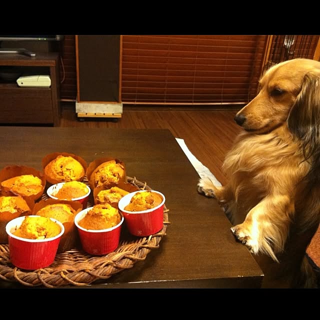 jazzrockさんの実例写真
