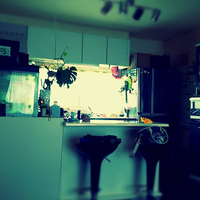 ofusuroさんの実例写真