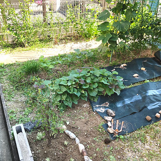 ayayayayaさんの実例写真