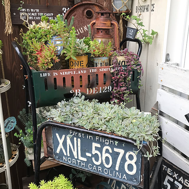nokoさんの実例写真