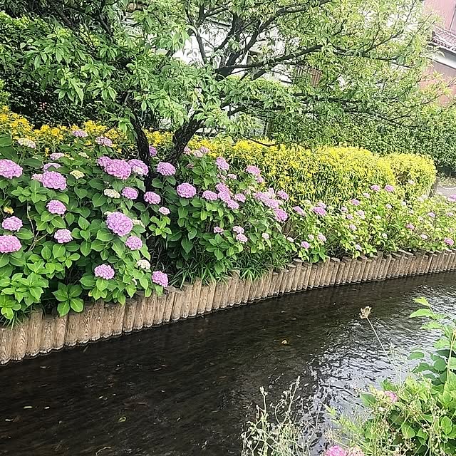 locolaniさんの実例写真