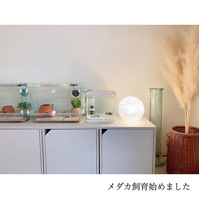 chaluさんの実例写真