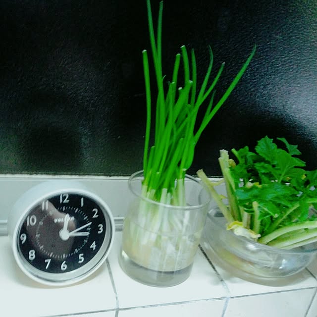 yumitaroooさんの実例写真