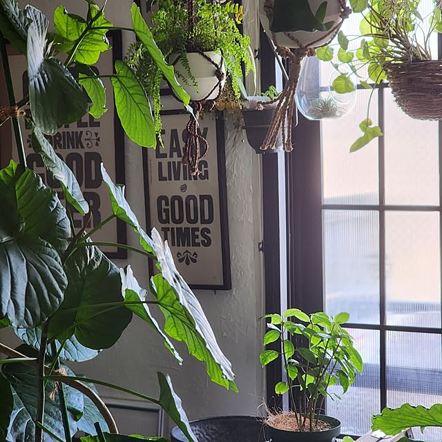 CYNOSさんの実例写真