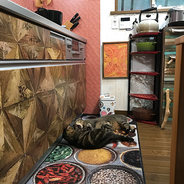 pepeさんの実例写真