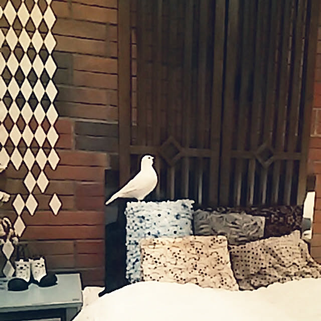 spinetailさんの実例写真