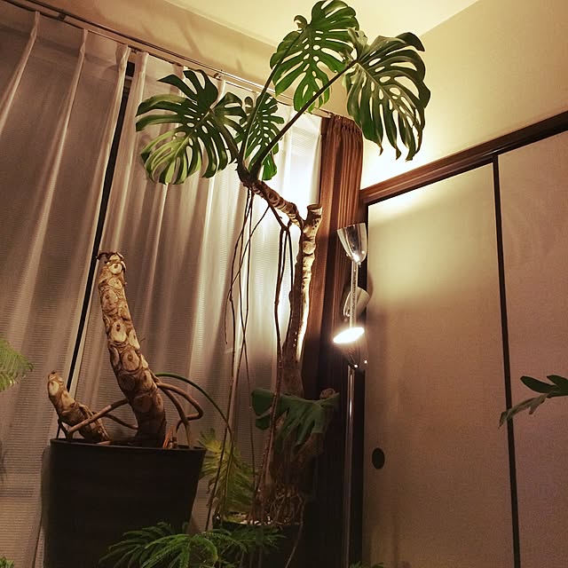 Taketoさんの実例写真