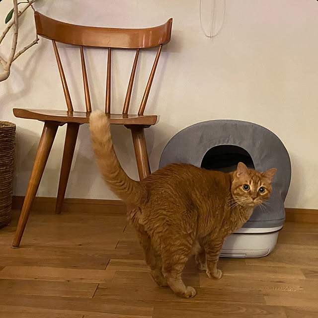 Hisashiさんの実例写真