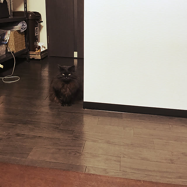 YOSHIMASAさんの実例写真