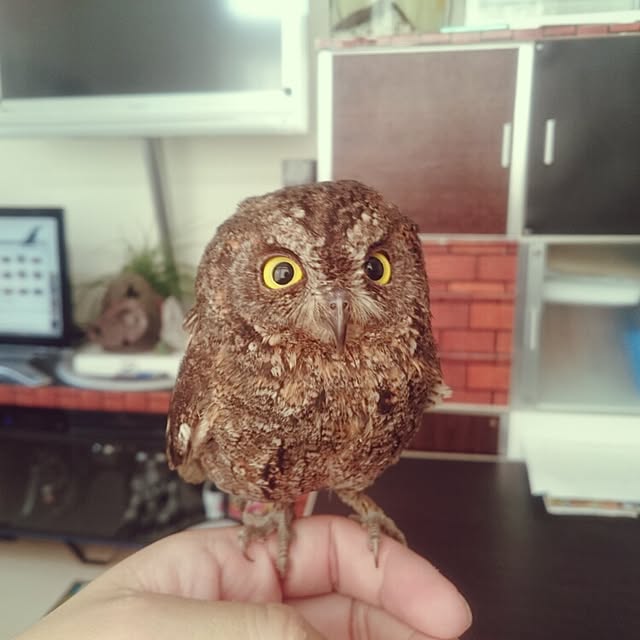House20さんの実例写真
