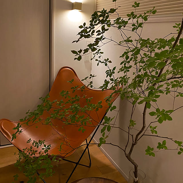 casa308さんの実例写真