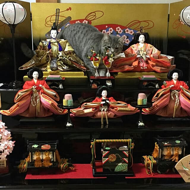 maasukeさんの実例写真
