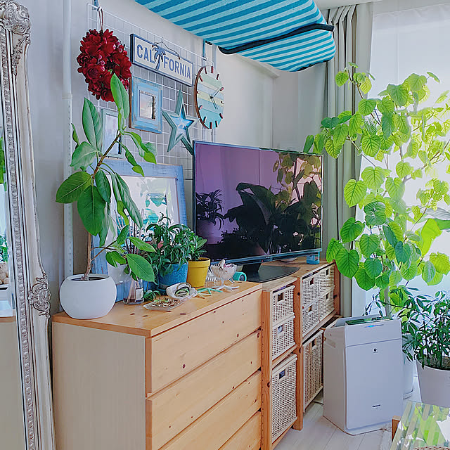 California0809さんの実例写真