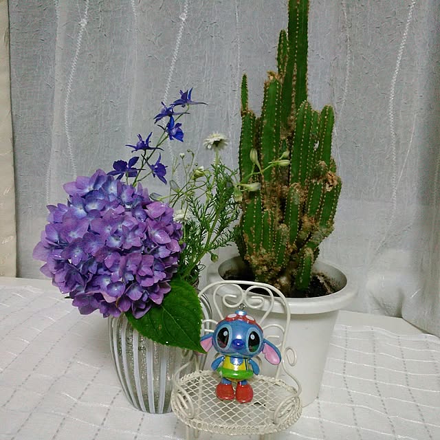 shoko0420さんの実例写真