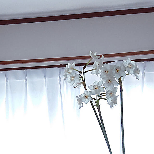 yukkin29さんの部屋