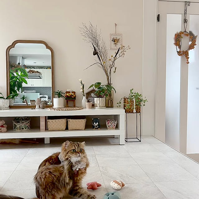 miyu39さんのお部屋の写真