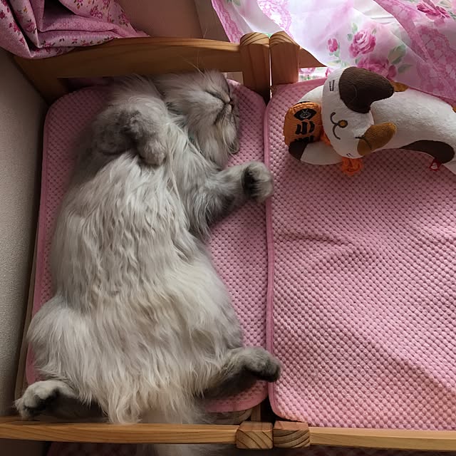 kumaさんの実例写真