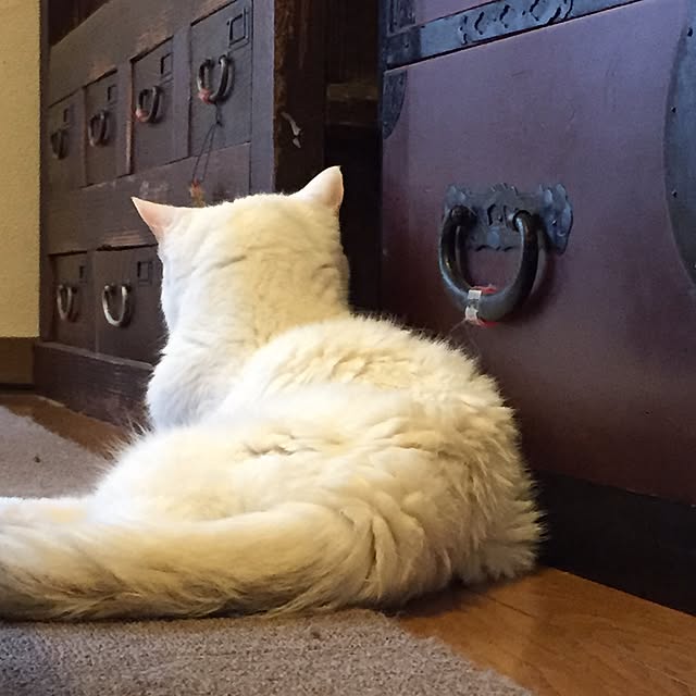 1623さんの実例写真