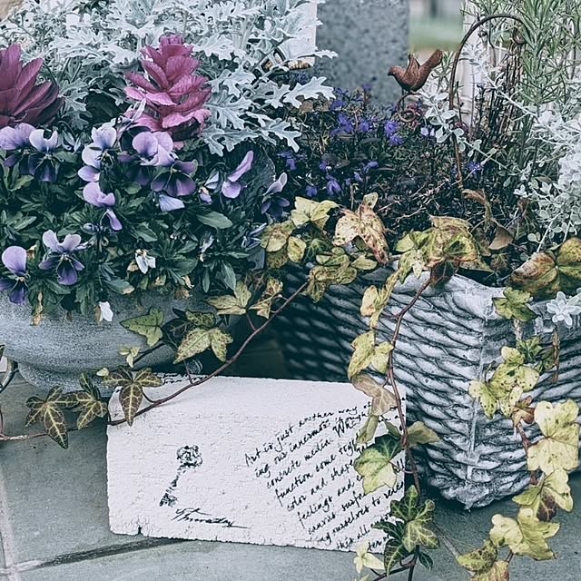purpureさんの実例写真