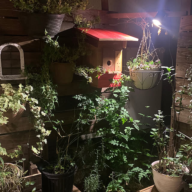 masakoさんの部屋