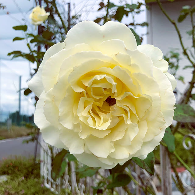 tomoさんの実例写真