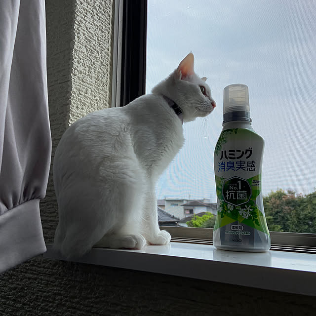 arashi530さんの部屋