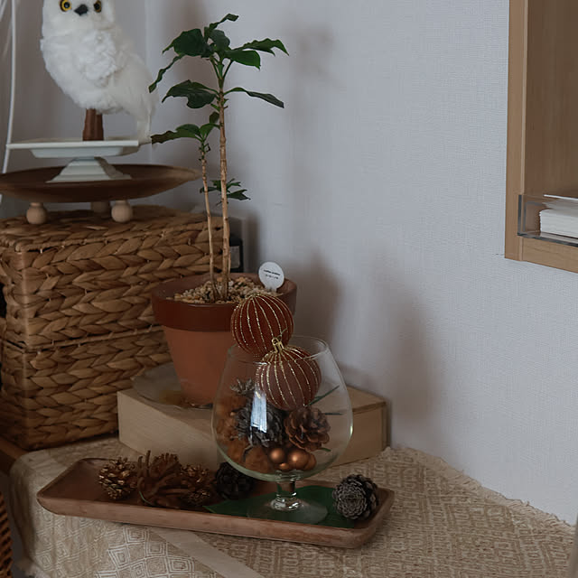 Summerさんの部屋