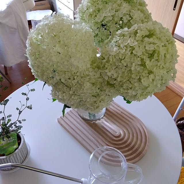 Motomeさんの実例写真