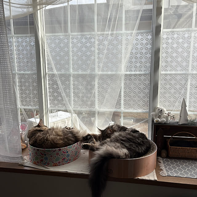 mayumiさんの部屋