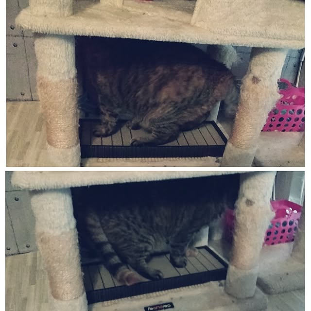 runaさんの部屋
