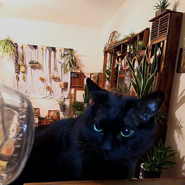 ugさんの実例写真