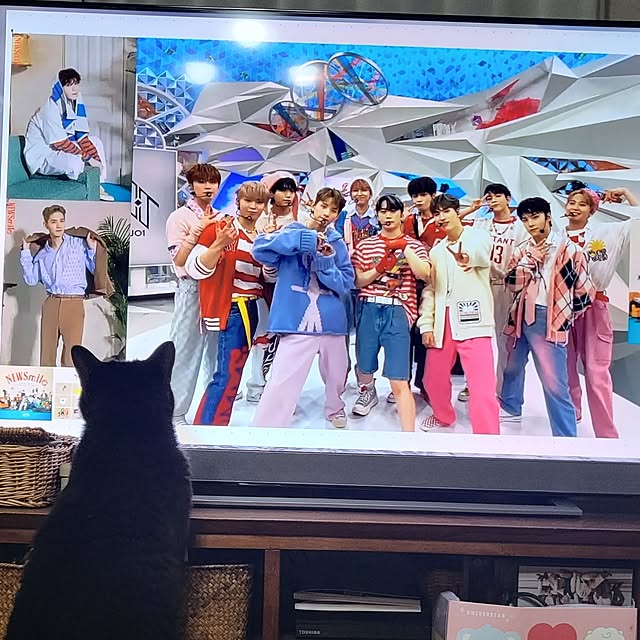 naru2014さんの実例写真