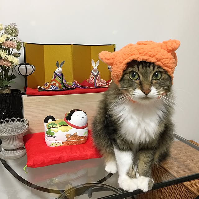 yuchiさんの実例写真