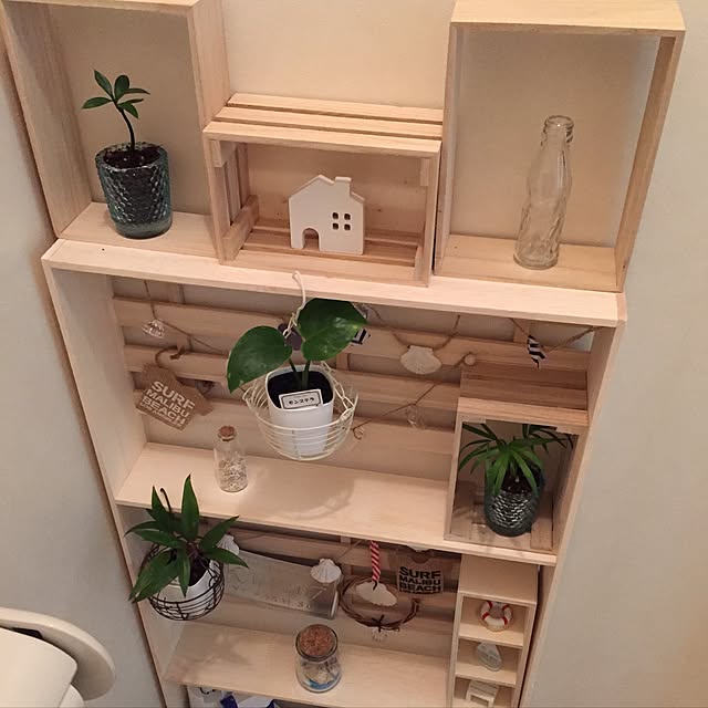 セリア/100均/観葉植物/バス/トイレのインテリア実例 - 2016-06-12 15:55:51
