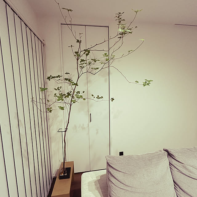 akosanさんの部屋