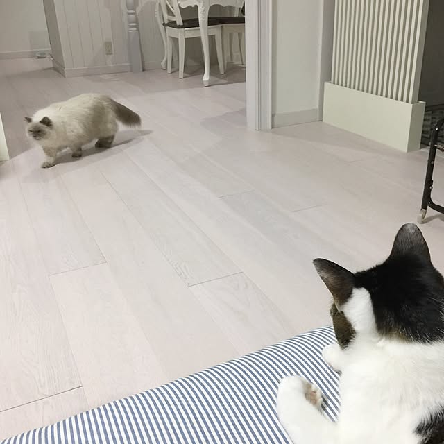 yuchiさんの実例写真