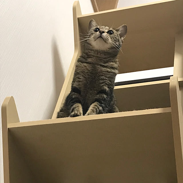 mpwさんの実例写真