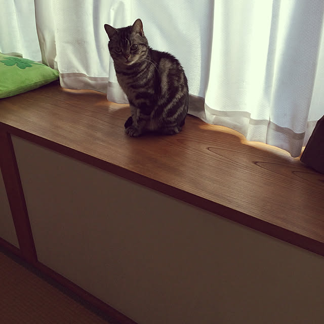 richanさんの実例写真
