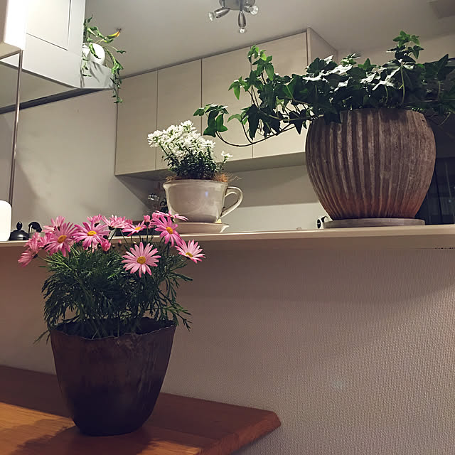 torinさんの実例写真