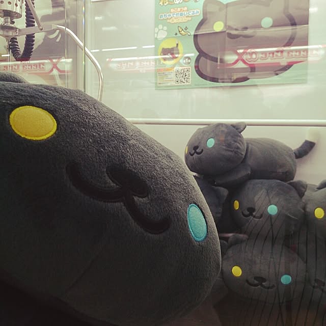 myu_cosmosさんの実例写真