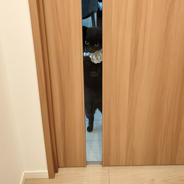 sakuraさんの部屋