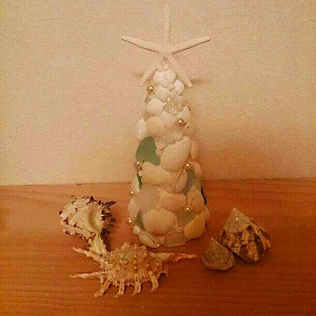 shelllifeさんの実例写真