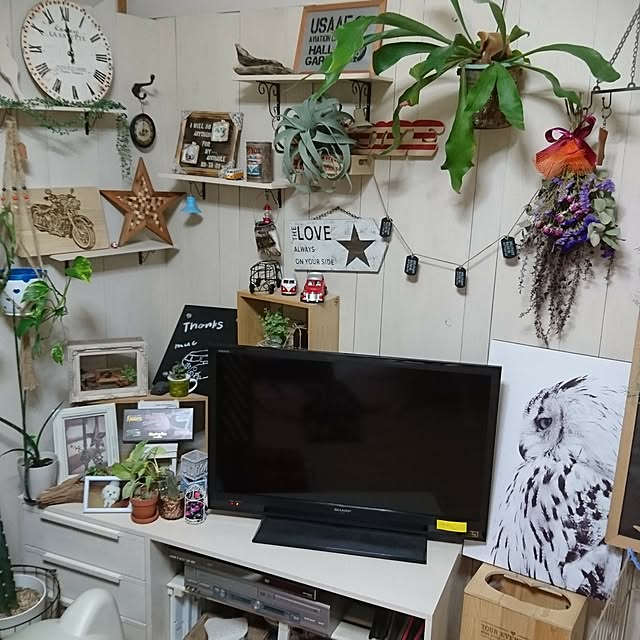Reiさんの実例写真