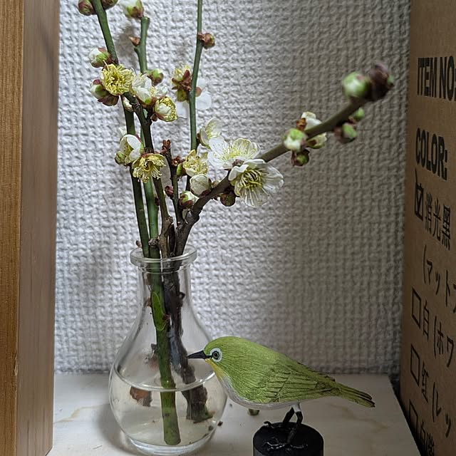 adaさんの実例写真