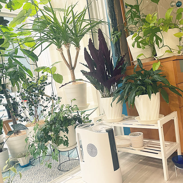 kanakoさんの部屋